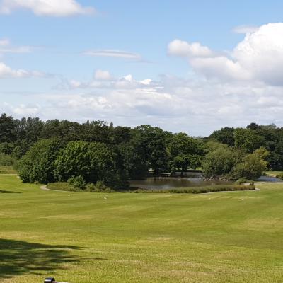 20190701 133859 20190701 133859