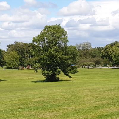 20190701 133905 20190701 133905