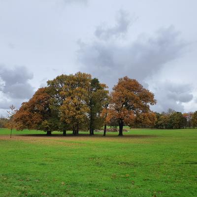 20191107 104306 20191107 104306