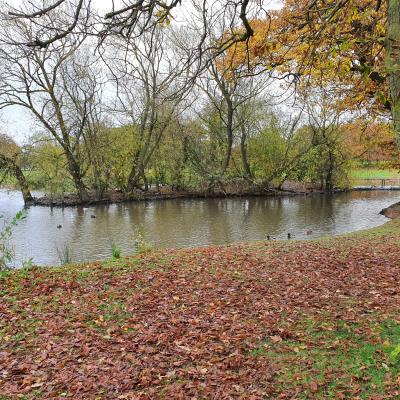 20191107 104802 20191107 104802