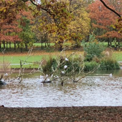 20191107 104810 20191107 104810